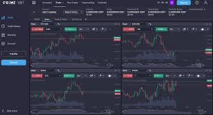 Maximizing Your Transactions Understanding PrimeXBT Cryptocurrency Payments Maximizing Your Transactions Understanding PrimeXBT Cryptocurrency Payments